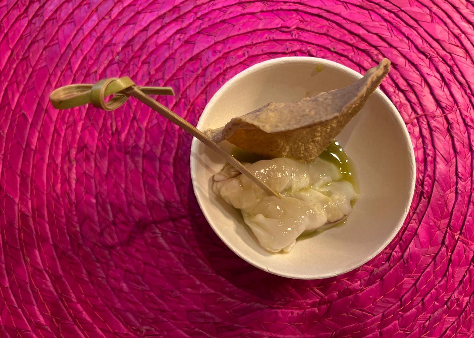 aguachile ladv da adobe