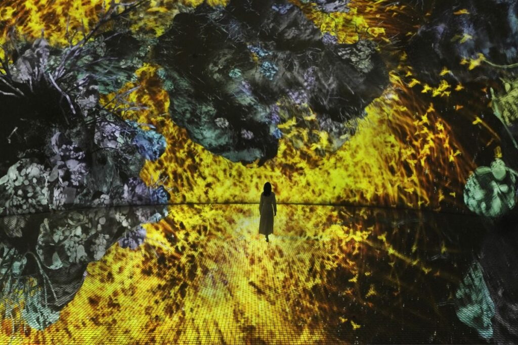 Show ad Abu Dhabi: stelle e musiche di Einaudi al teamLab Phenomena