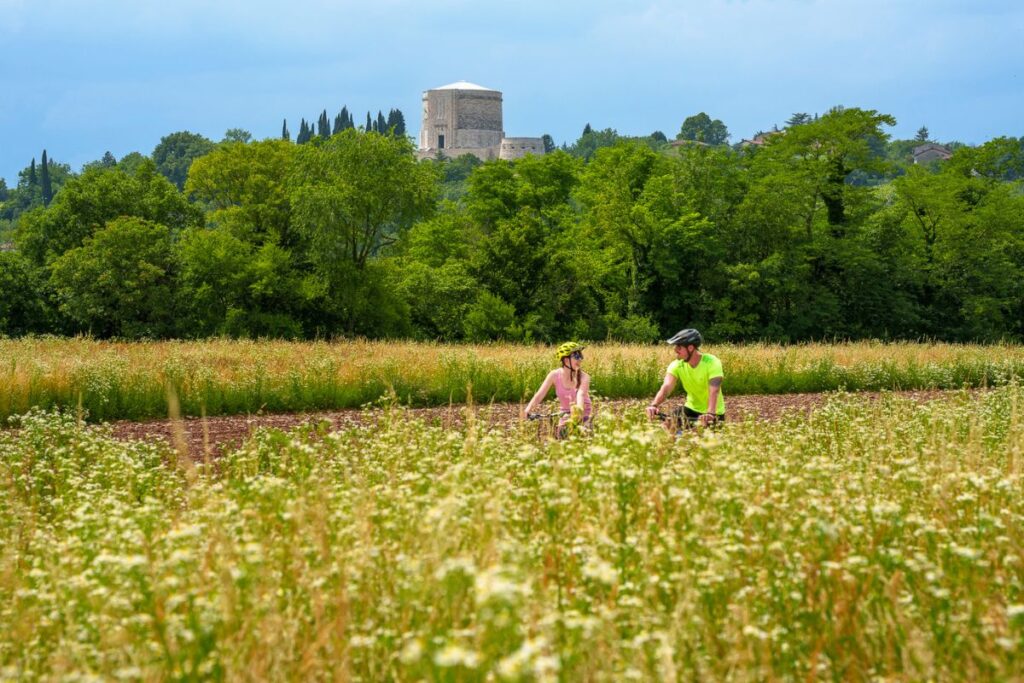 foto da ufficio stampa