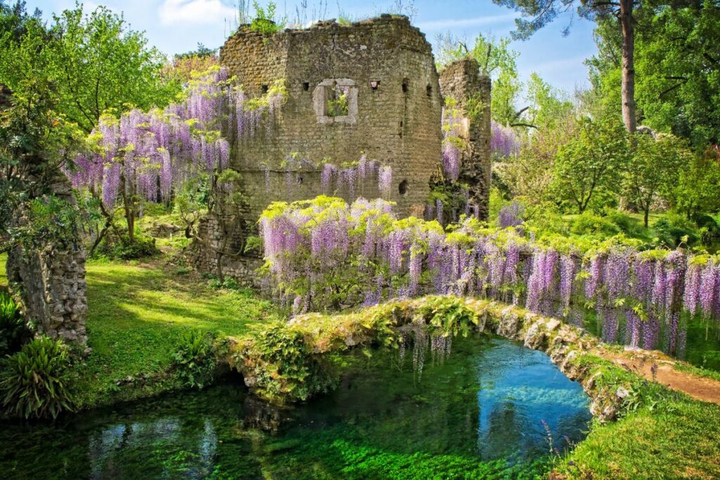 foto da ufficio stampa