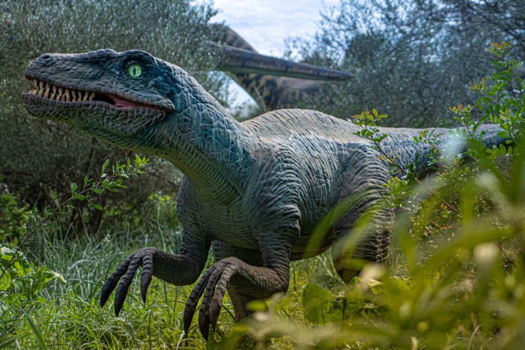 foto da ufficio stampa