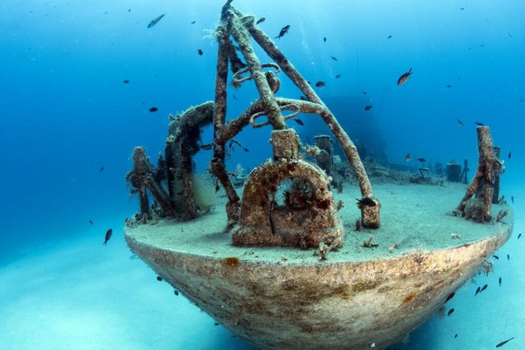 foto da ufficio stampa