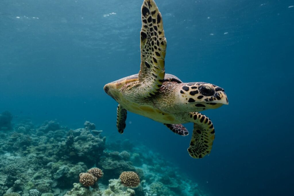 foto da ufficio stampa