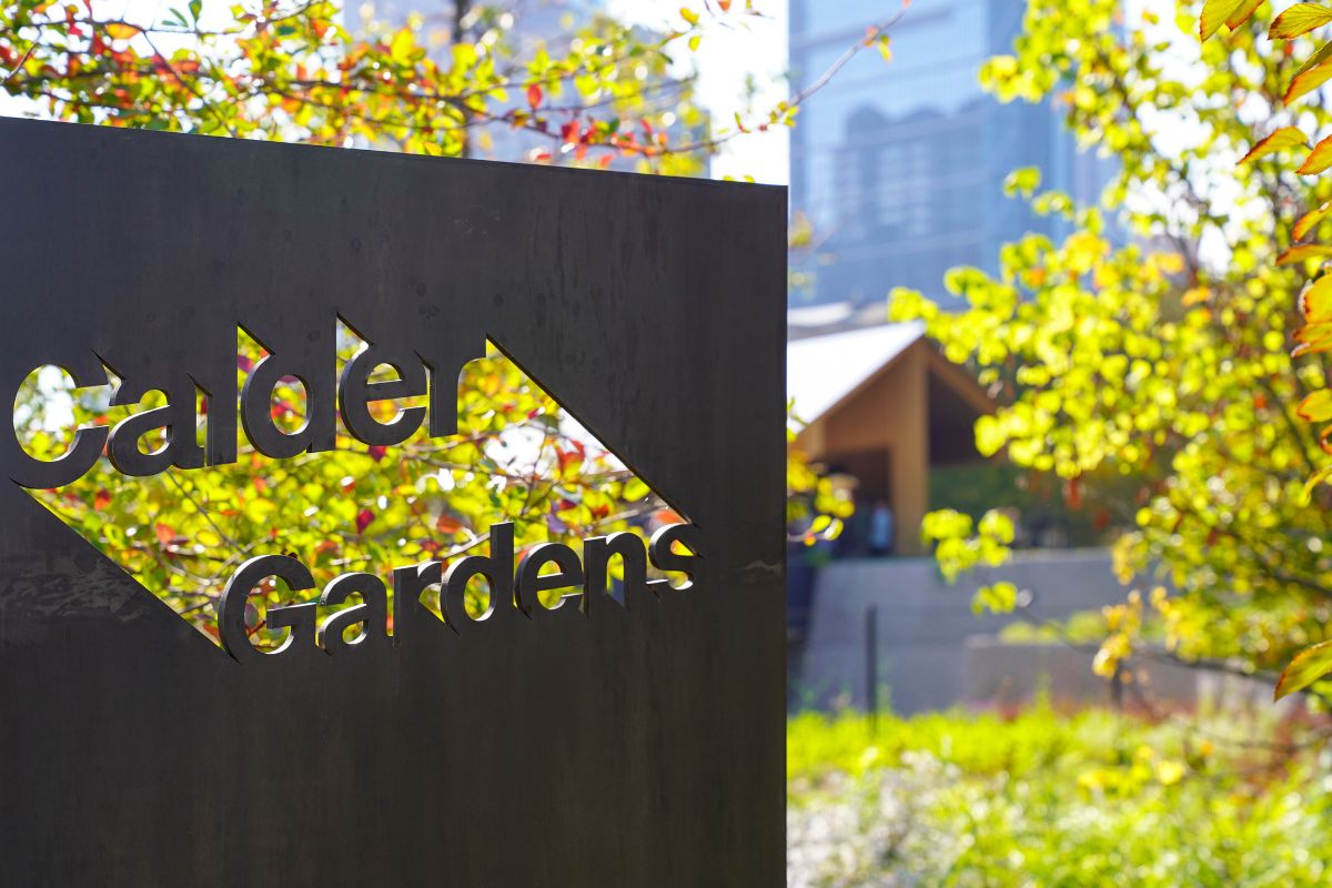 Philadelphia ha un nuovo spazio culturale: ecco i Calder Gardens
