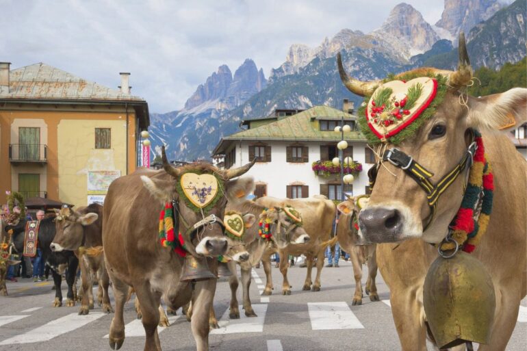 foto da ufficio stampa