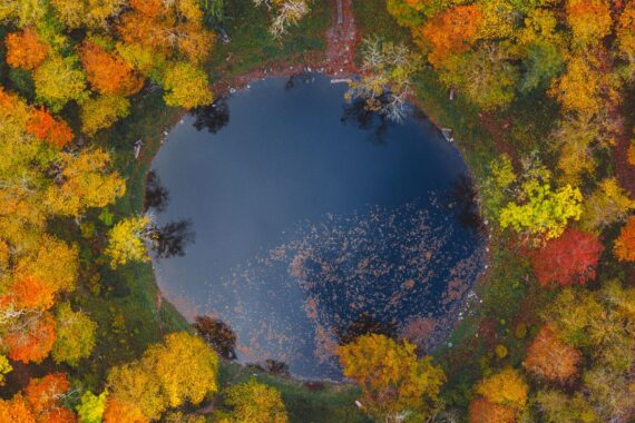 foto da ufficio stampa