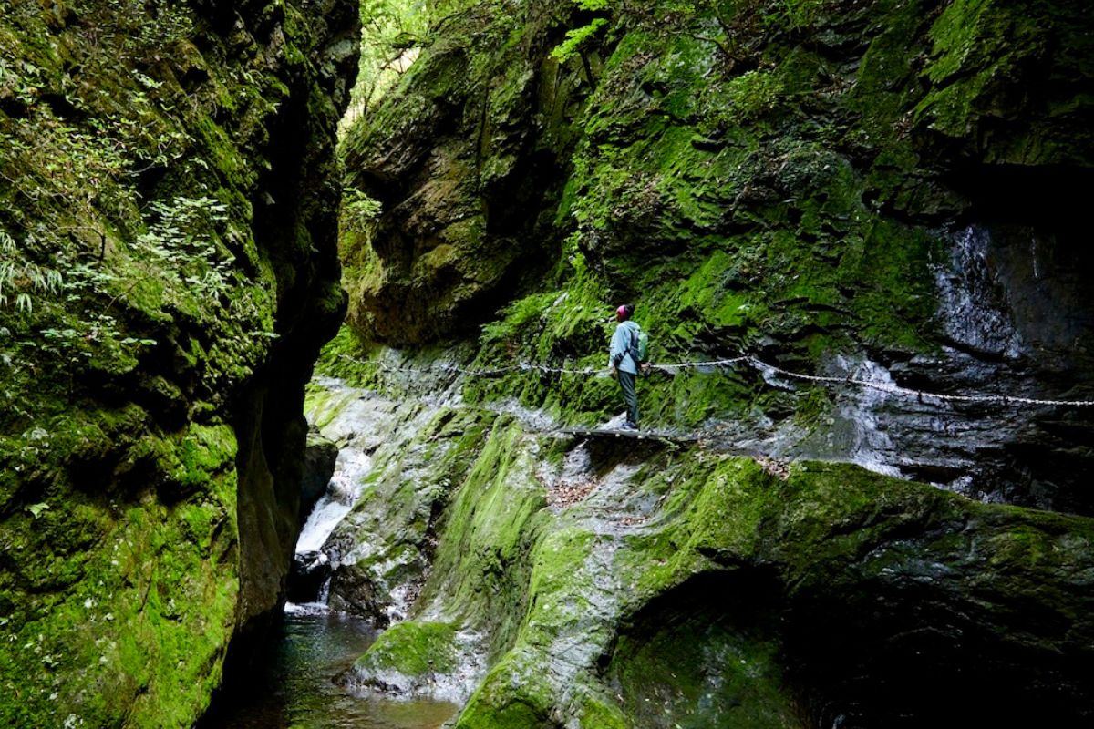 Giappone green e segreto: un mondo di foreste e cascate a due ore da Tokyo