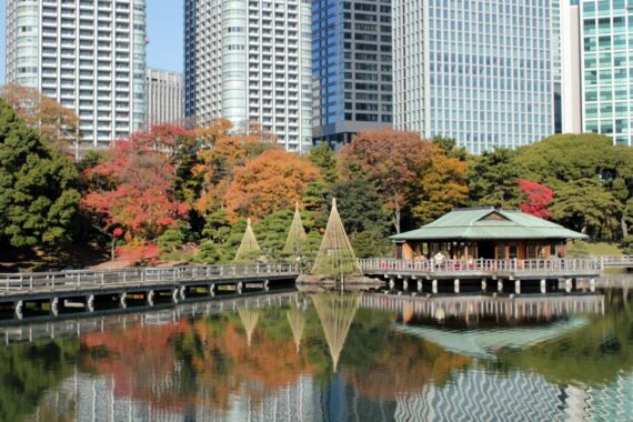 foto da ufficio stampa