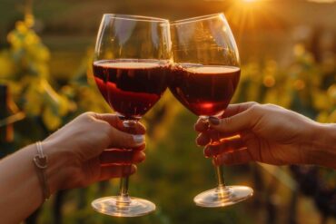 vino wine lovers enoturismo adobe