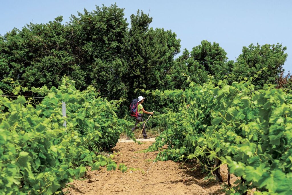 foto da ufficio stampa