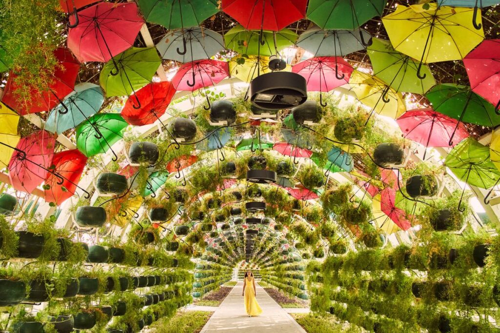 foto da ufficio stampa