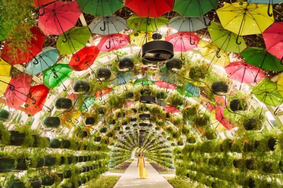 foto da ufficio stampa