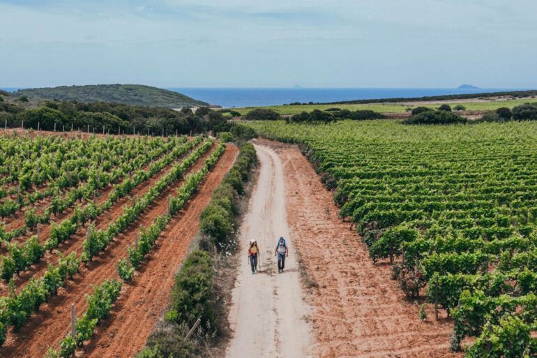 foto da ufficio stampa