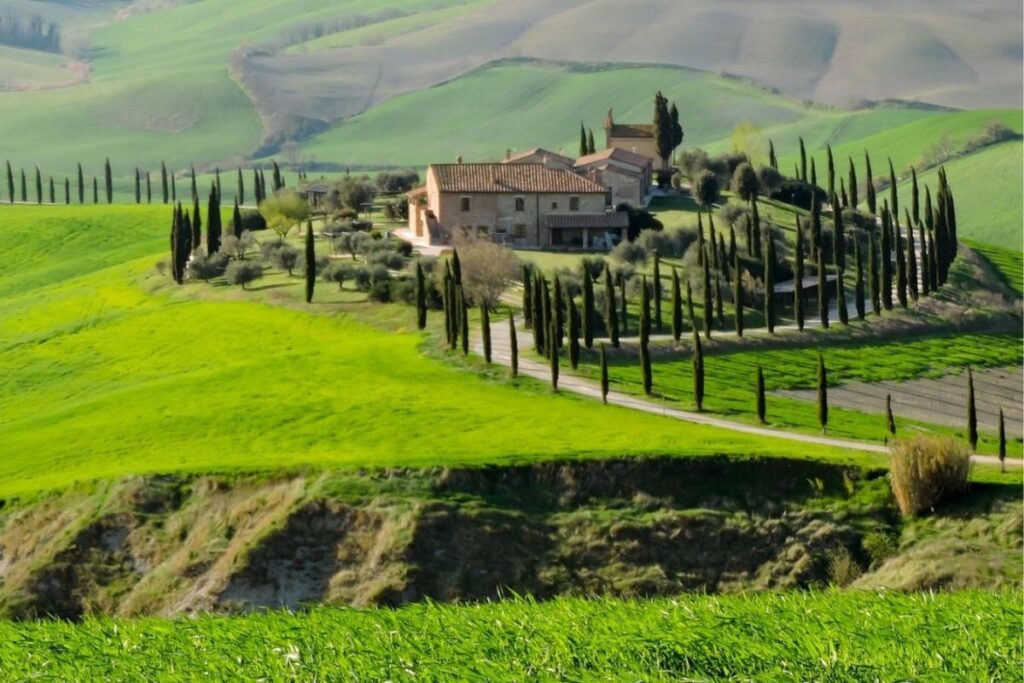 foto da Andrea Lovelock