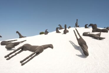 foto da ufficio stampa