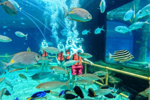 foto da ufficio stampa