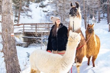 foto da ufficio stampa