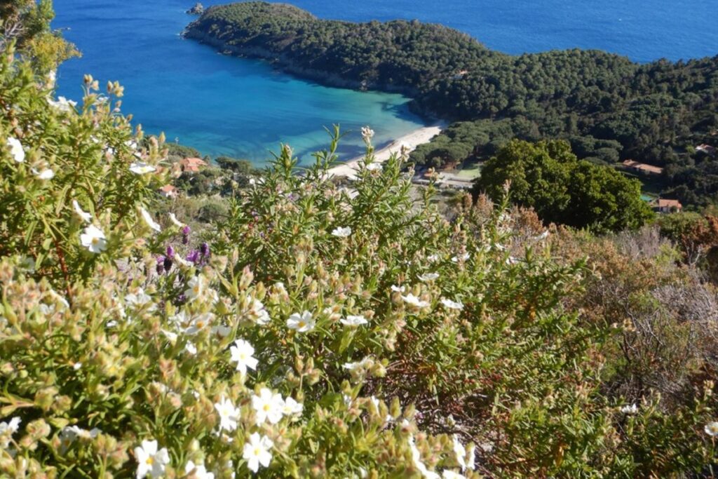 foto da ufficio stampa