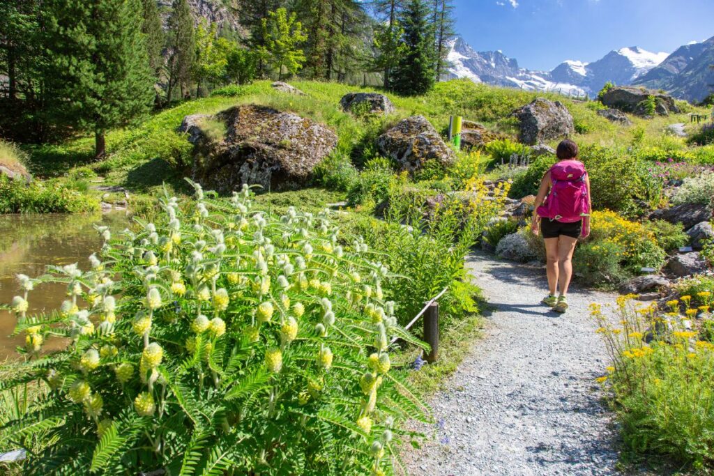 foto da ufficio stampa