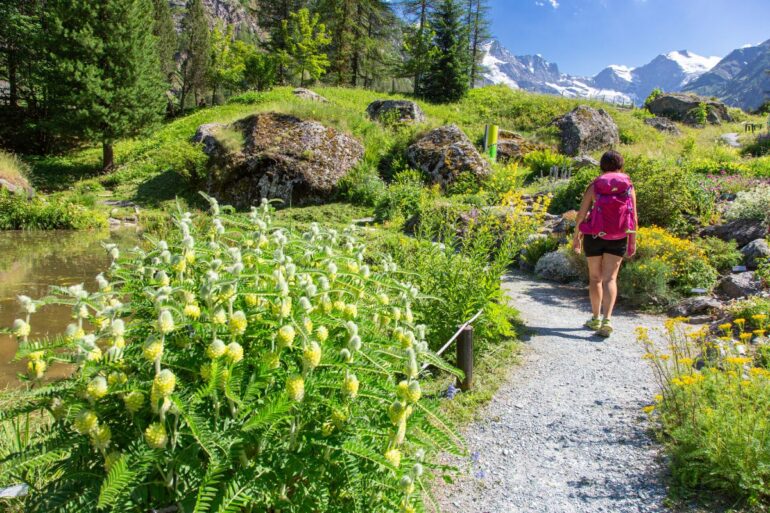 foto da ufficio stampa