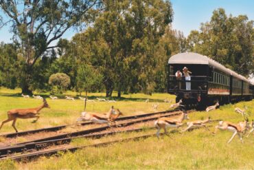 foto da ufficio stampa