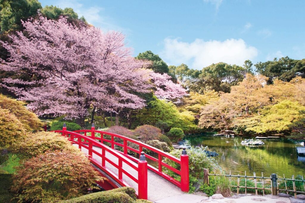 foto da ufficio stampa