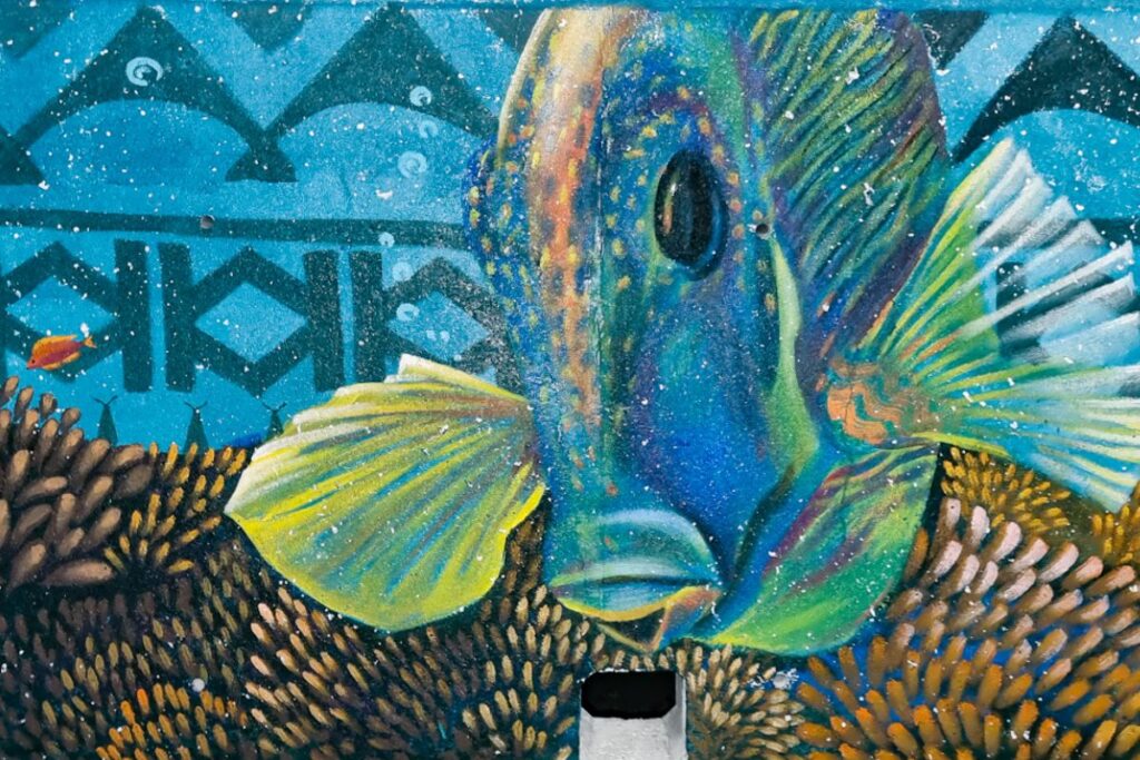 foto da ufficio stampa