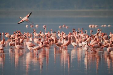 foto da ufficio stampa