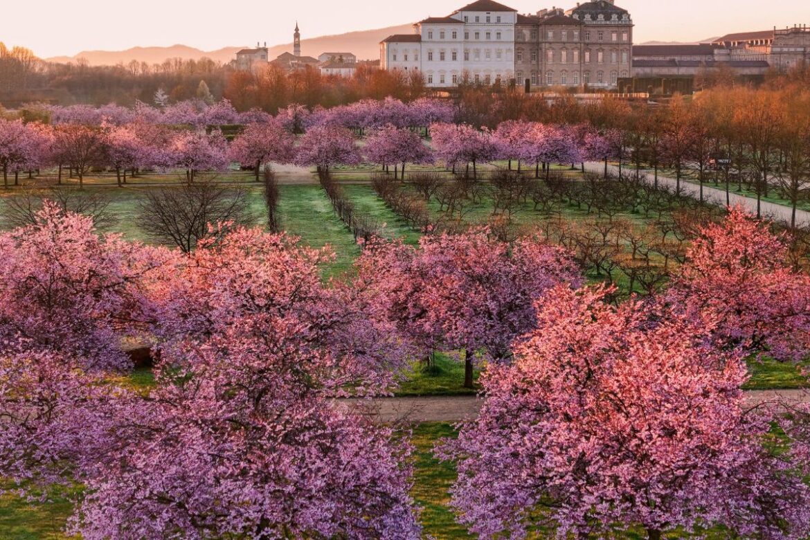 foto da ufficio stampa