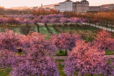 foto da ufficio stampa
