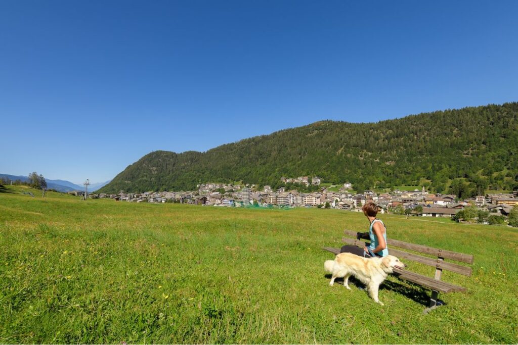 Valtellina dog friendly: una montagna di attività e istruzioni per l’uso