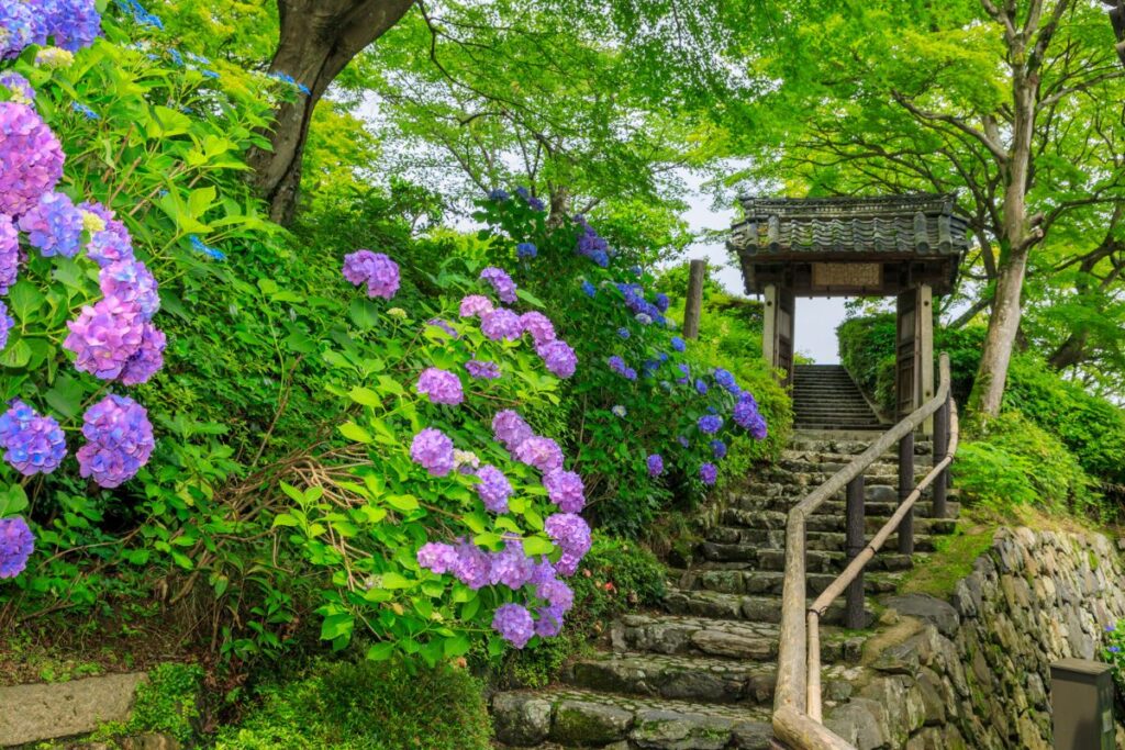 L’altra Kyoto: l’antica capitale tra gemme nascoste e un festival unico
