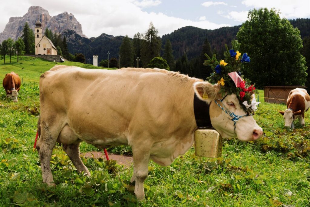 Cultura in quota: Tiziano e la “Desmontegada” sulle Dolomiti Bellunesi