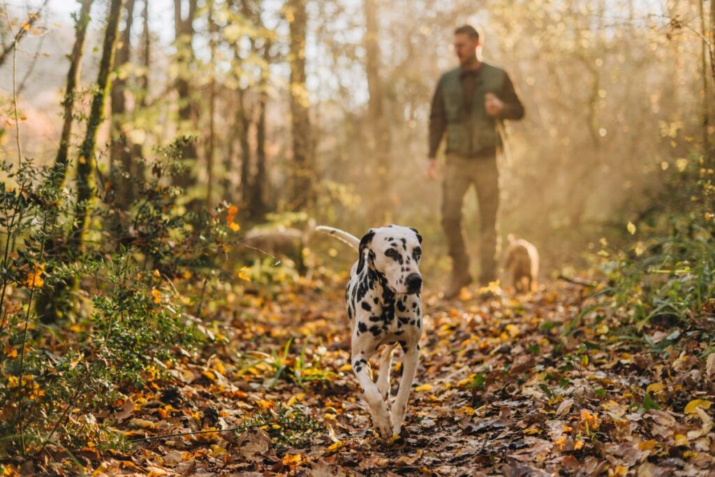 Caccia al tartufo: tutti gli appuntamenti con il gusto in Istria croata