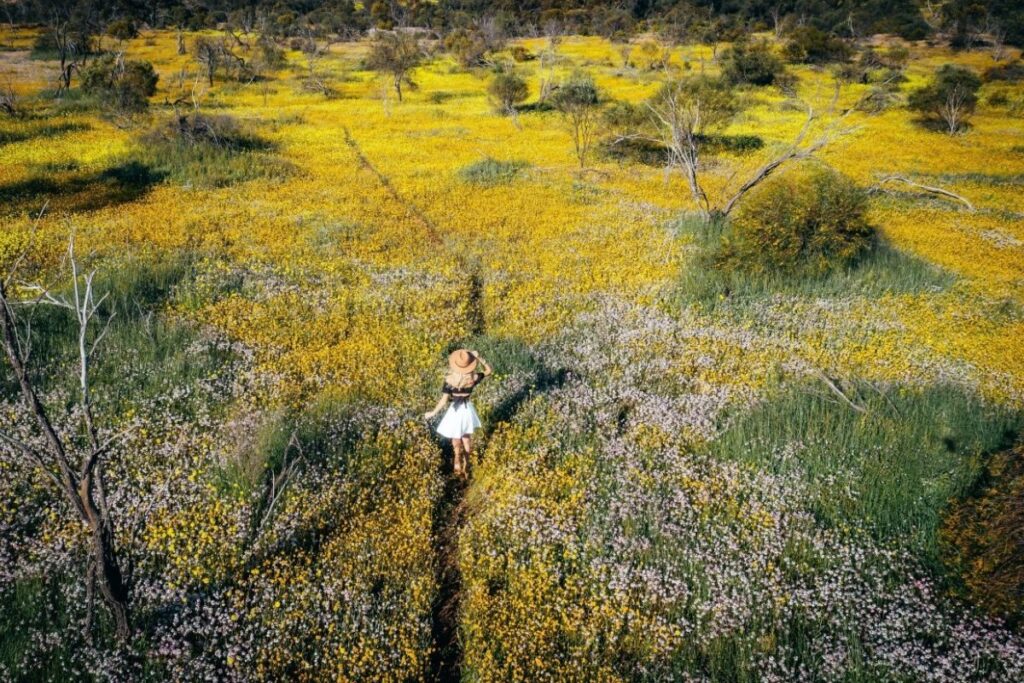 Inseguendo l’estate: la bella stagione agli antipodi del Western Australia